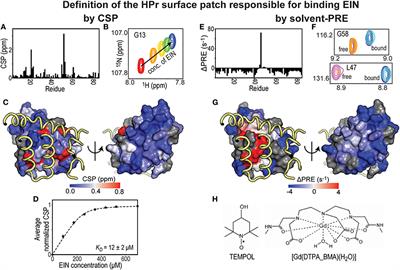 NMR Methods for Structural Characterization of Protein-Protein Complexes